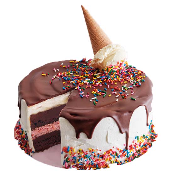 Ice Cream Cakes
