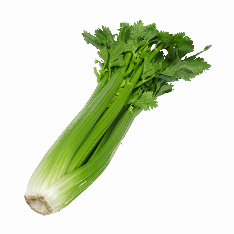 https://admin.green2grocery.com/upload/images/0930-2021-09-06.jpg