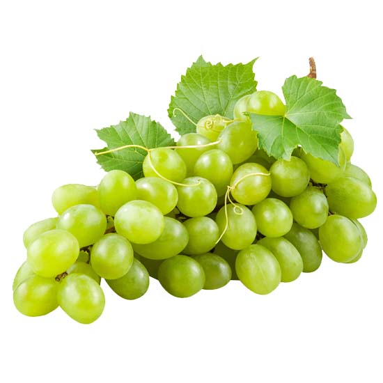 https://admin.green2grocery.com/upload/images/1356-2021-01-19.jpg