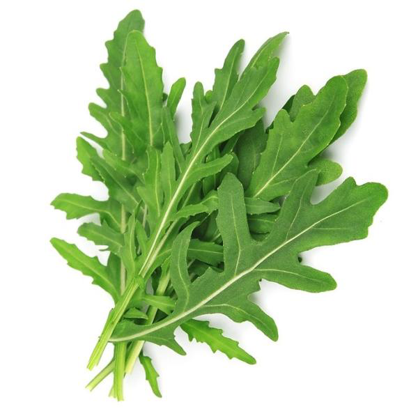 https://admin.green2grocery.com/upload/images/1812-2021-03-17.png