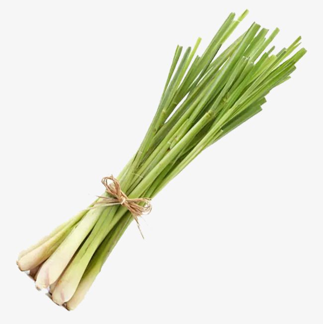 https://admin.green2grocery.com/upload/images/1968-2021-03-17.jpg