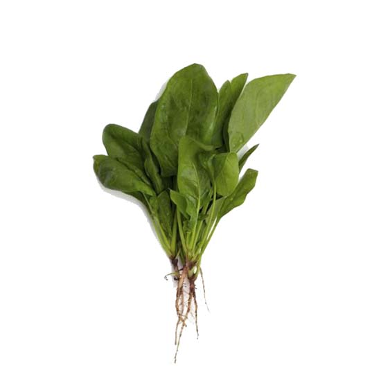 https://admin.green2grocery.com/upload/images/2735-2021-01-08.jpg