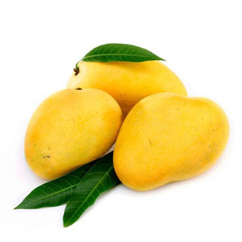 https://admin.green2grocery.com/upload/images/2811-2021-06-01.jpg