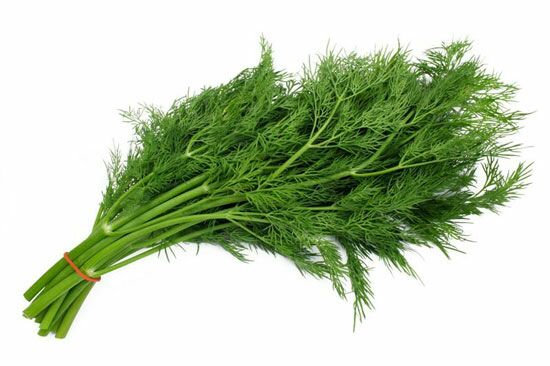 https://admin.green2grocery.com/upload/images/3170-2021-03-17.jpg