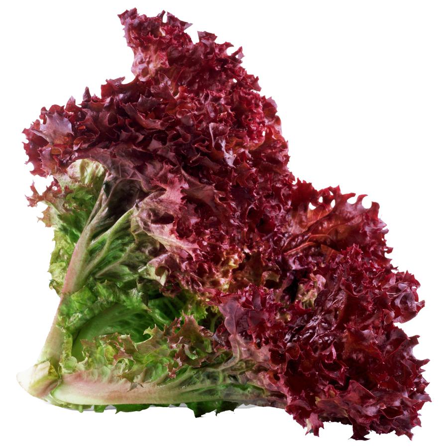 https://admin.green2grocery.com/upload/images/3665-2021-09-06.jpg