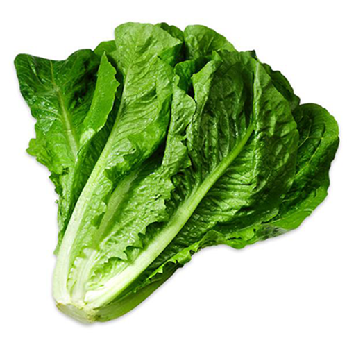 https://admin.green2grocery.com/upload/images/4279-2021-09-06.png
