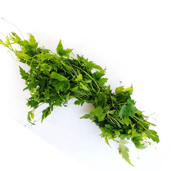 https://admin.green2grocery.com/upload/images/4303-2021-01-08.jpg