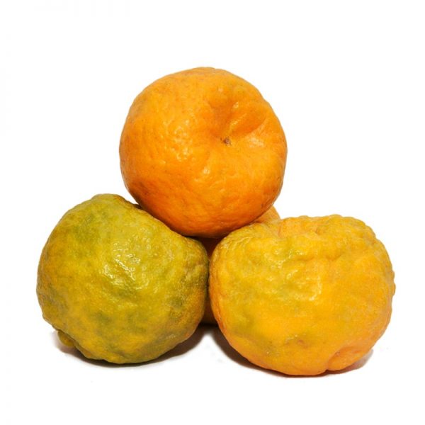https://admin.green2grocery.com/upload/images/4511-2021-09-05.jpg