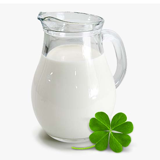 Milk