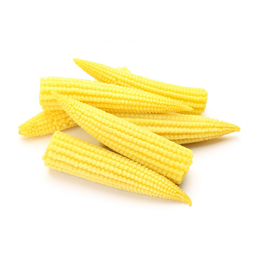 https://admin.green2grocery.com/upload/images/4561-2021-03-17.png