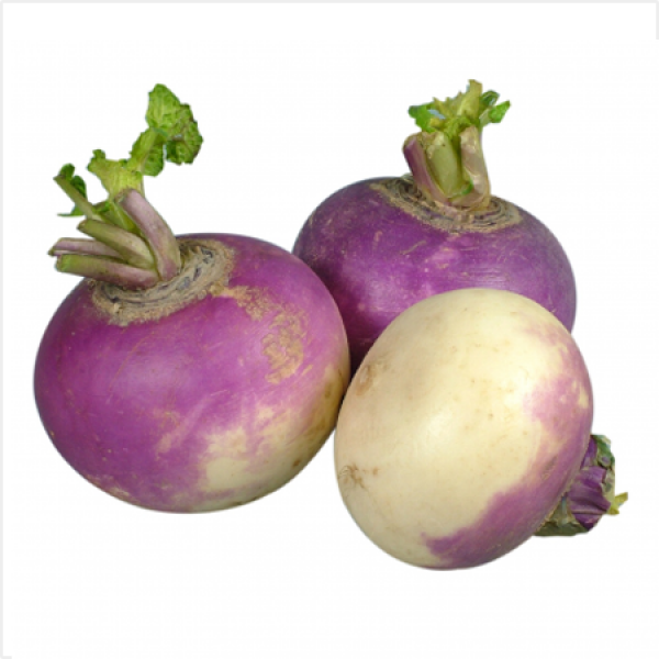 https://admin.green2grocery.com/upload/images/4977-2021-03-17.png