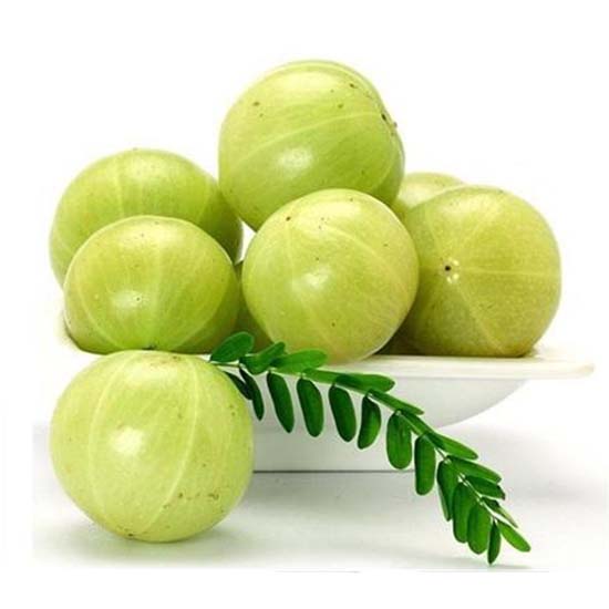 நெல்லிக்காய் Amla