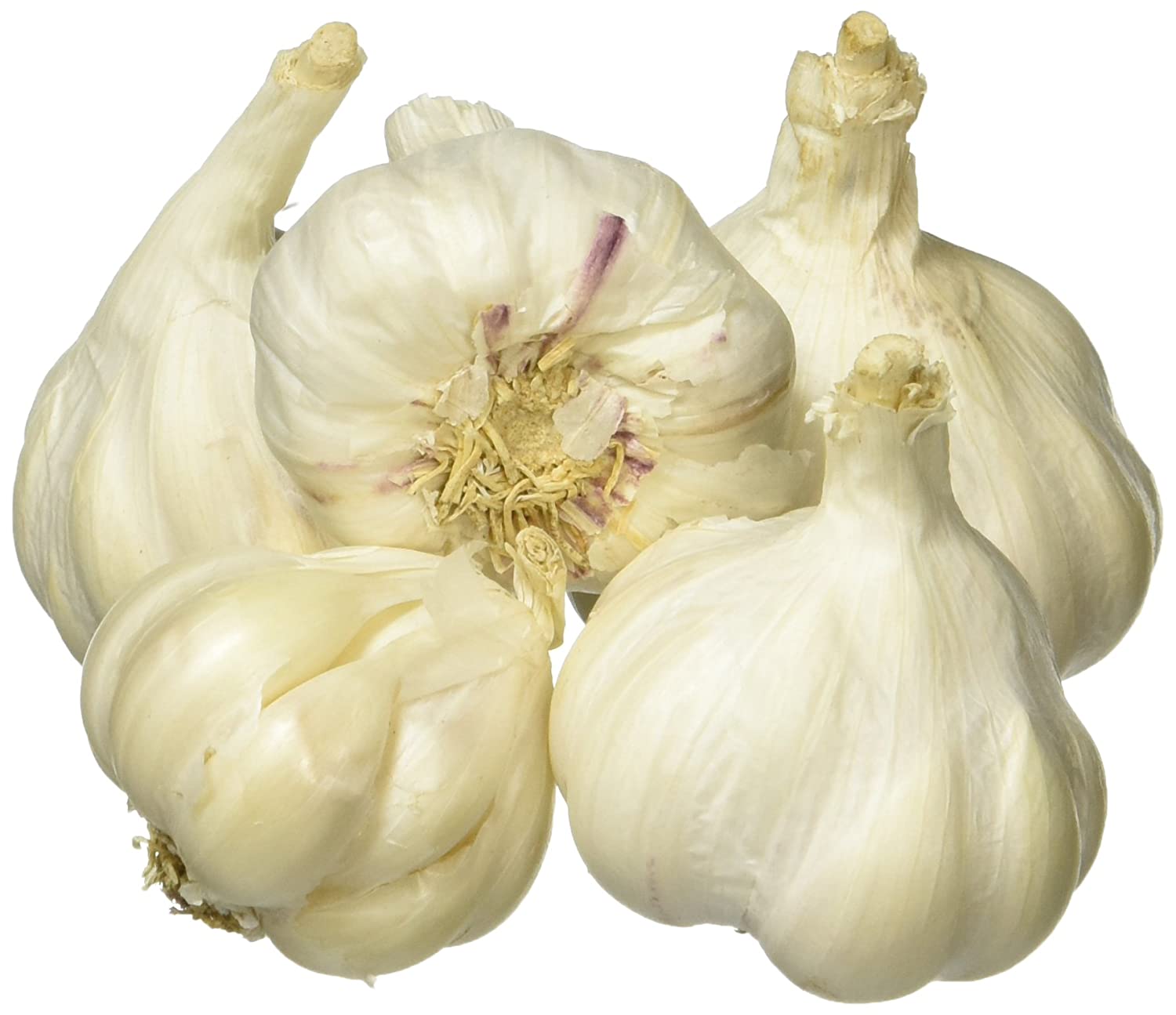 https://admin.green2grocery.com/upload/images/5743-2021-04-08.jpg