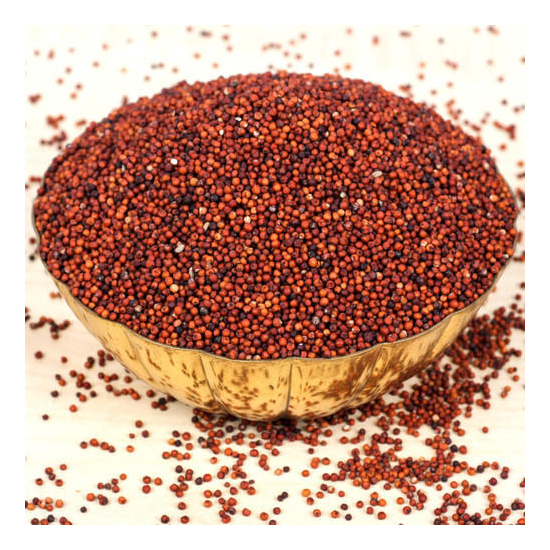 கேழ்வரகு Finger Millet