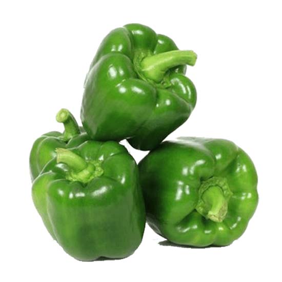 குடை மிளகாய் Capsicum