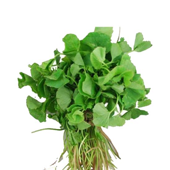 முளைக் கீரை Mulai keerai