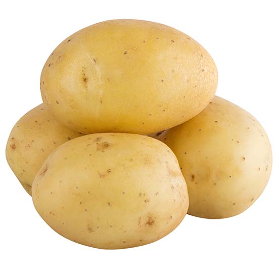 உருளைக்கிழங்கு  Potato