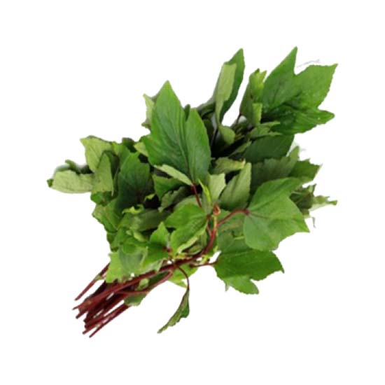 https://admin.green2grocery.com/upload/images/7632-2021-01-08.jpg