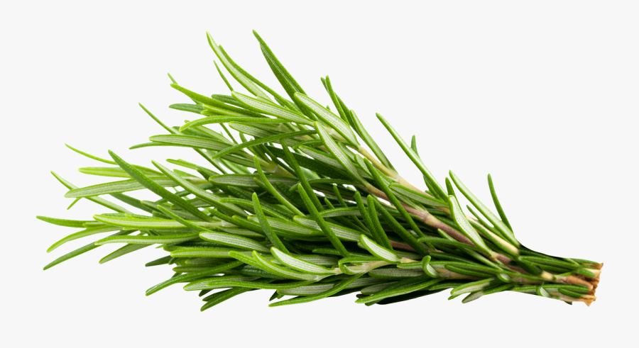 https://admin.green2grocery.com/upload/images/7673-2021-03-17.png