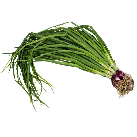 https://admin.green2grocery.com/upload/images/7939-2021-01-08.jpg