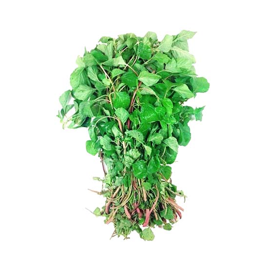 https://admin.green2grocery.com/upload/images/8141-2021-01-08.jpg