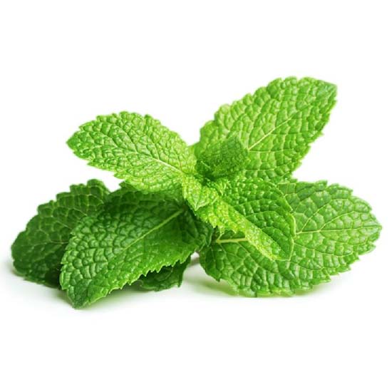 https://admin.green2grocery.com/upload/images/8795-2021-01-08.jpg
