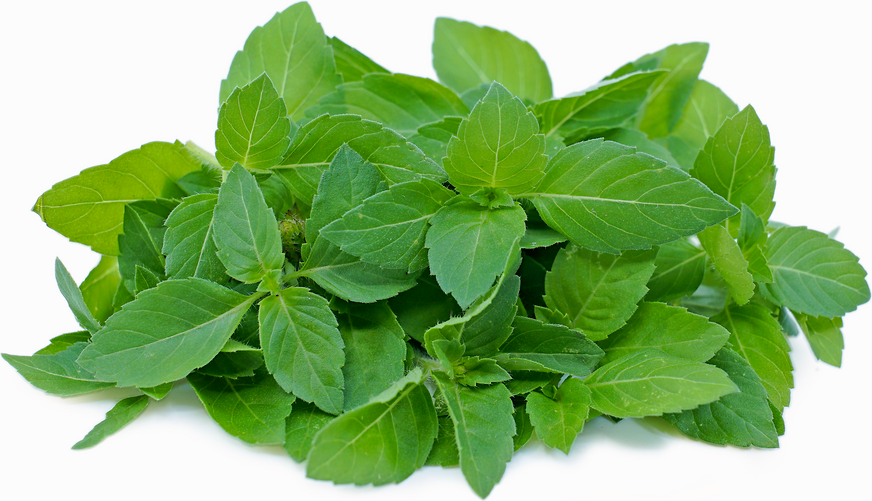 https://admin.green2grocery.com/upload/images/9110-2021-03-17.png