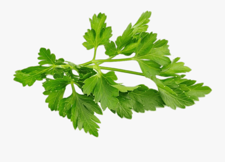 https://admin.green2grocery.com/upload/images/9435-2021-03-18.png