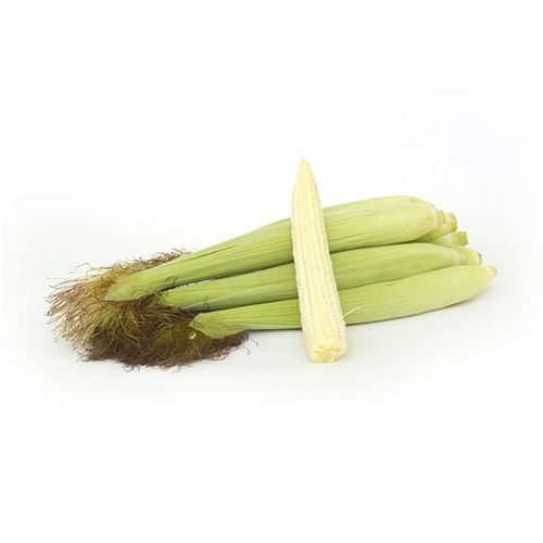 https://admin.green2grocery.com/upload/images/9730-2021-03-17.jpg