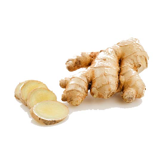 இஞ்சி Ginger