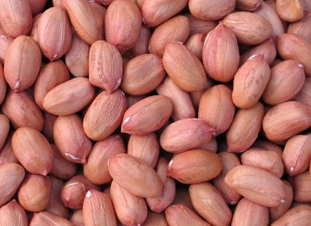 Raw Groundnut